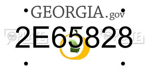 2E65828 Georgia License Plate