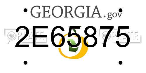 2E65875 Georgia License Plate
