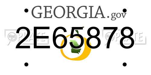 2E65878 Georgia License Plate