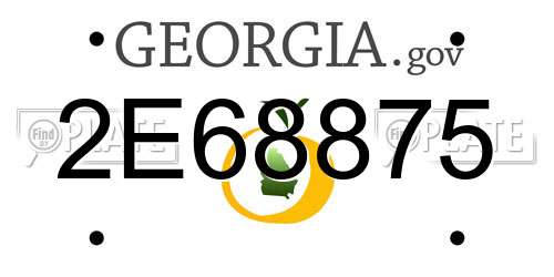 2E68875 Georgia License Plate