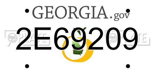 2E69209 Georgia License Plate