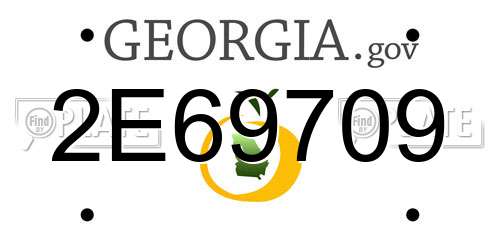 2E69709 Georgia License Plate