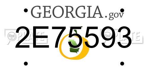 2E75593 Georgia License Plate