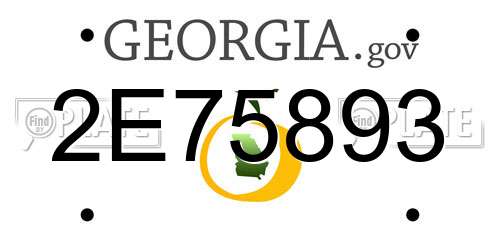2E75893 Georgia License Plate