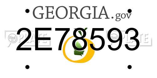 2E78593 Georgia License Plate