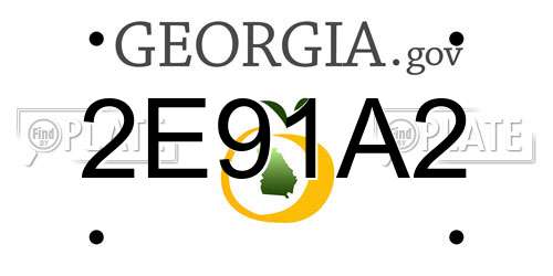 2E91A2 Georgia License Plate