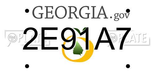 2E91A7 Georgia License Plate