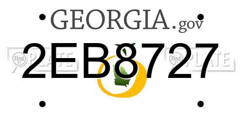 2EB8727 Georgia License Plate
