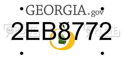 2EB8772 Georgia License Plate