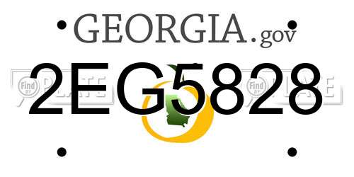 2EG5828 Georgia License Plate