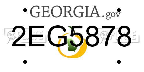 2EG5878 Georgia License Plate
