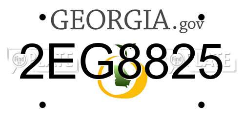 2EG8825 Georgia License Plate