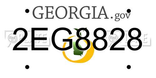2EG8828 Georgia License Plate