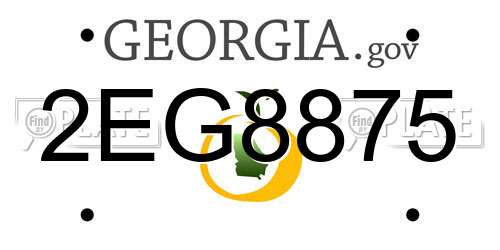 2EG8875 Georgia License Plate