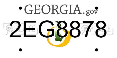 2EG8878 Georgia License Plate