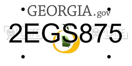 2EGS875 Georgia License Plate