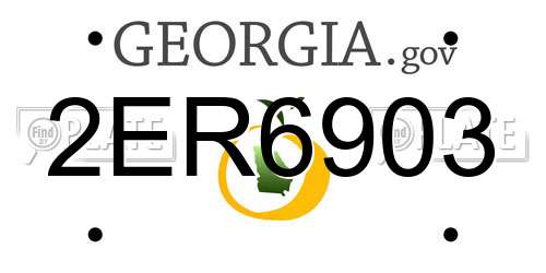 2ER6903 Georgia License Plate