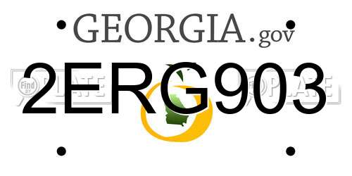2ERG903 Georgia License Plate