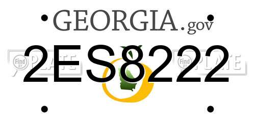 2ES8222 Georgia License Plate