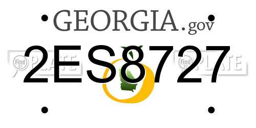 2ES8727 Georgia License Plate