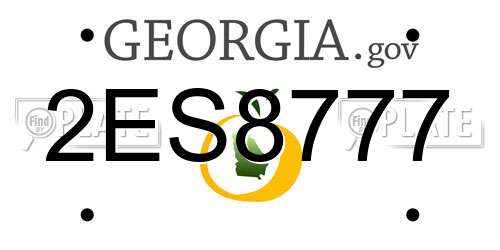 2ES8777 Georgia License Plate