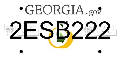 2ESB222 Georgia License Plate