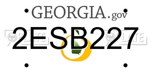 2ESB227 Georgia License Plate