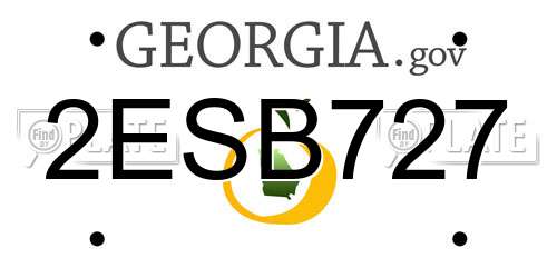 2ESB727 Georgia License Plate