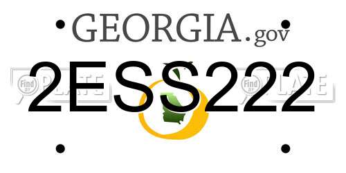 2ESS222 Georgia License Plate