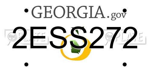 2ESS272 Georgia License Plate