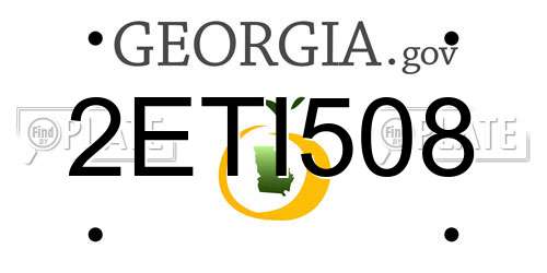 2ETI508 Georgia License Plate
