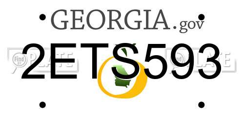 2ETS593 Georgia License Plate