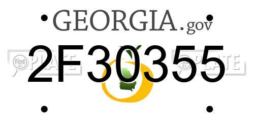 2F30355 Georgia License Plate