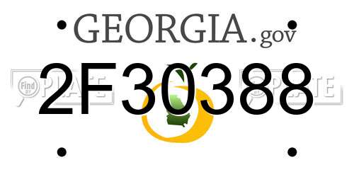 2F30388 Georgia License Plate