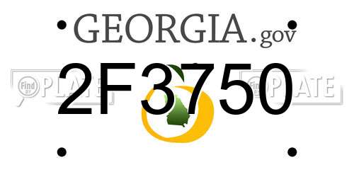 2F3750 Georgia License Plate