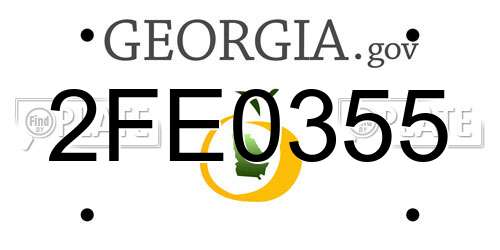 2FE0355 Georgia License Plate
