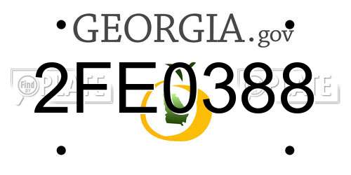 2FE0388 Georgia License Plate