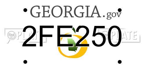 2FE250 Georgia License Plate