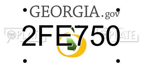2FE750 Georgia License Plate