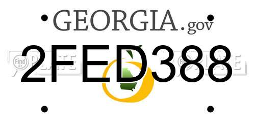 2FED388 Georgia License Plate