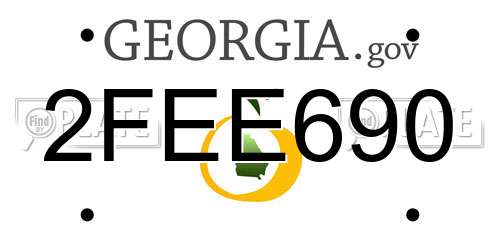 2FEE690 Georgia License Plate