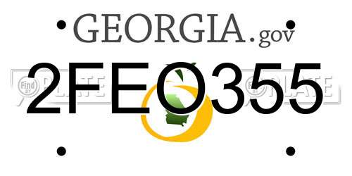 2FEO355 Georgia License Plate