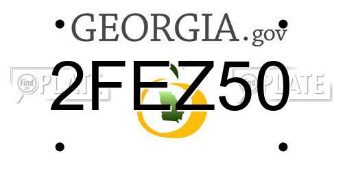 2FEZ50 Georgia License Plate