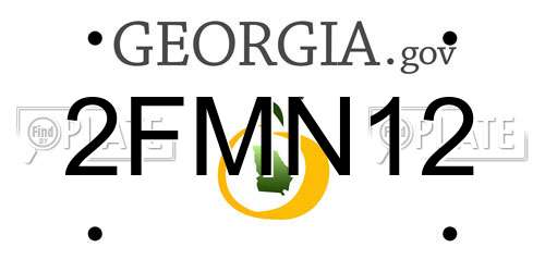 2FMN12 Georgia License Plate