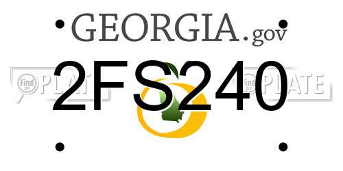 2FS240 Georgia License Plate