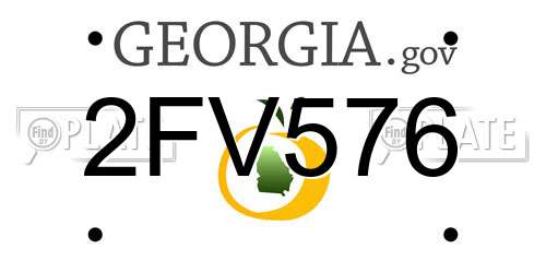 2FV576 Georgia License Plate
