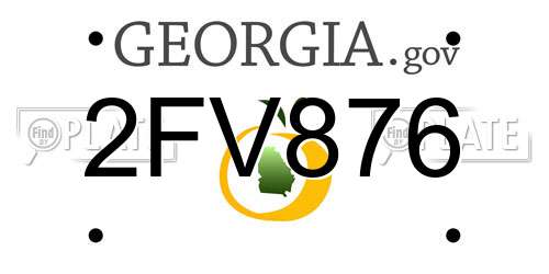 2FV876 Georgia License Plate