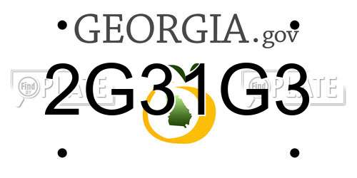 2G31G3 Georgia License Plate