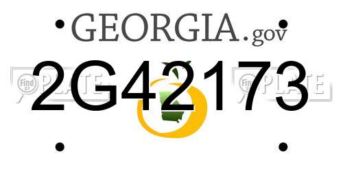 2G42173 Georgia License Plate