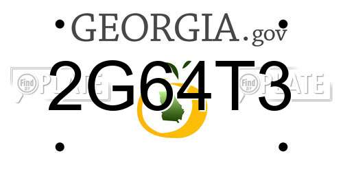 2G64T3 Georgia License Plate
